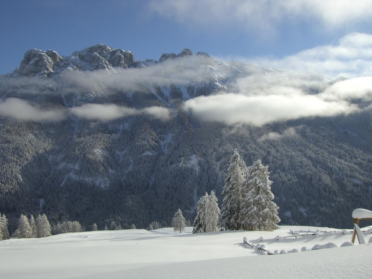 B&B Fior Vigo di Fassa Eksteriør billede
